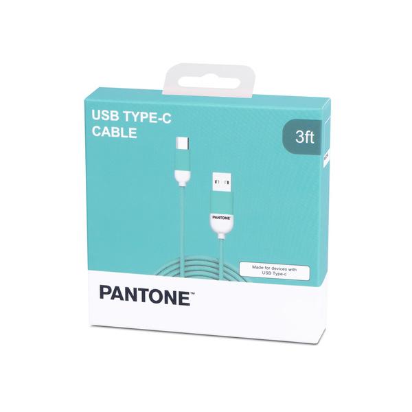 CABLE TYPE-C/USB 1M PANTONE TURQUESA - Biels Online