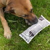 Juguete para Perro - Periódico - Biels Online