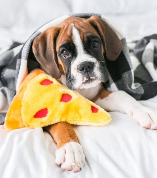 Juguete para Perro - Pizza - Biels Online
